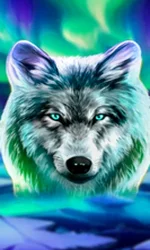 Wolf Fang - Northern Spirits